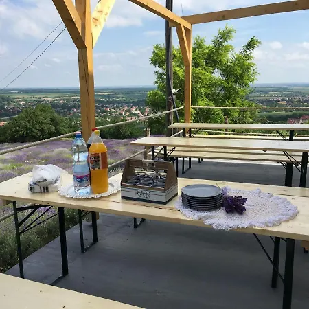 Gæstehus Levendulaszat *