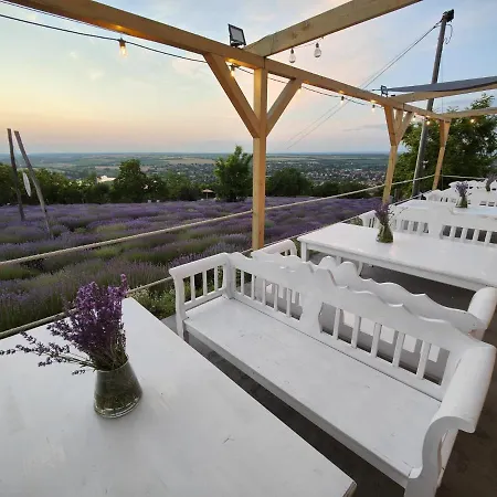 Levendulaszat 게스트하우스